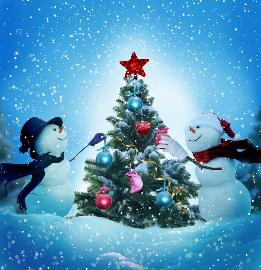 Can I Put Up Christmas Lights? Leisure Villas